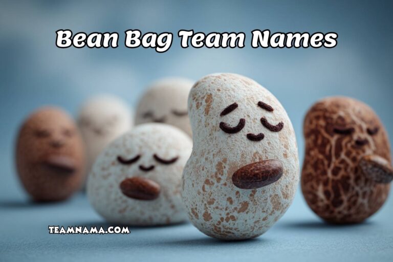 bean bag team names