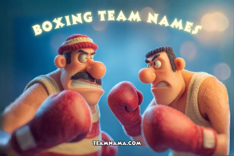 boxing team names