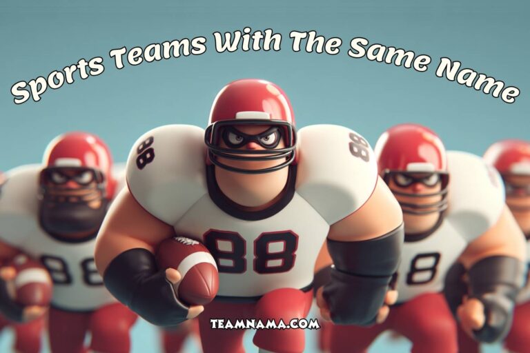sports teams with the same name